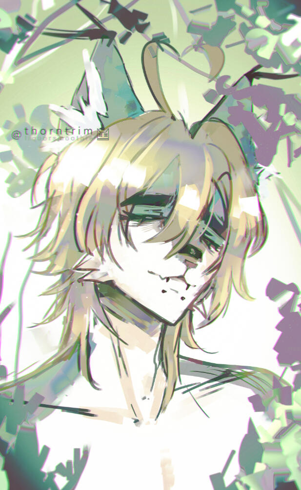 pepe haha look haha funny